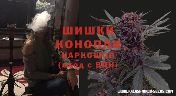 стаф Осташков