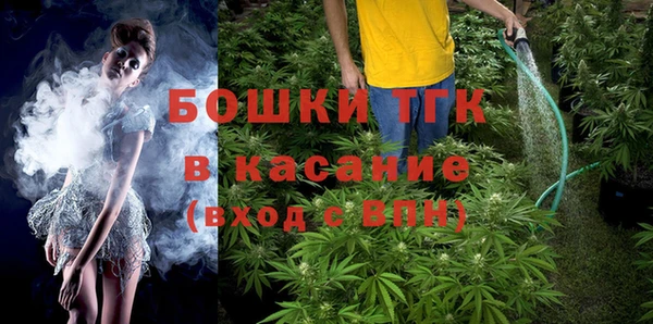стаф Осташков