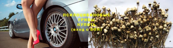 COCAINE Белая Холуница