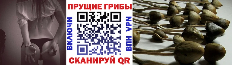 Галлюциногенные грибы Magic Shrooms даркнет сайт Андреаполь