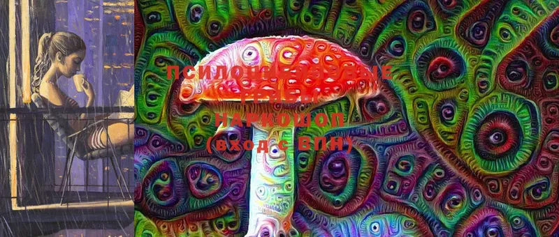 MEGA зеркало  купить наркотики сайты  Андреаполь  Галлюциногенные грибы Magic Shrooms 