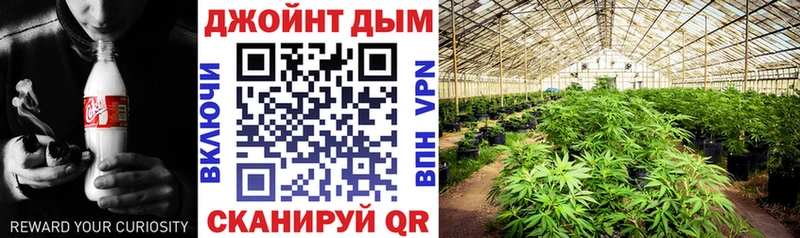 kraken вход  Андреаполь  Конопля сатива  где можно купить наркотик 